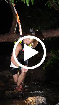 BIB:  <button type="button" onclick="openModal(27824957)" class="btn btn-primary btn-sm float-right" data-toggle="modal" data-target=".modal-high-quality">
                <i class="fa fa-download"></i> Download
                </button>